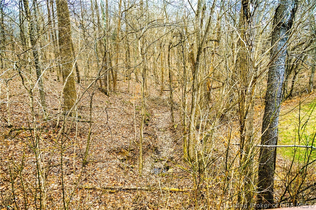 Highway 64 Ne Property Photo 6