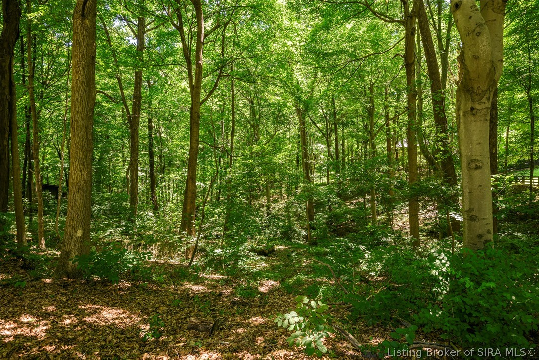 4302 Doe Court Property Photo 54