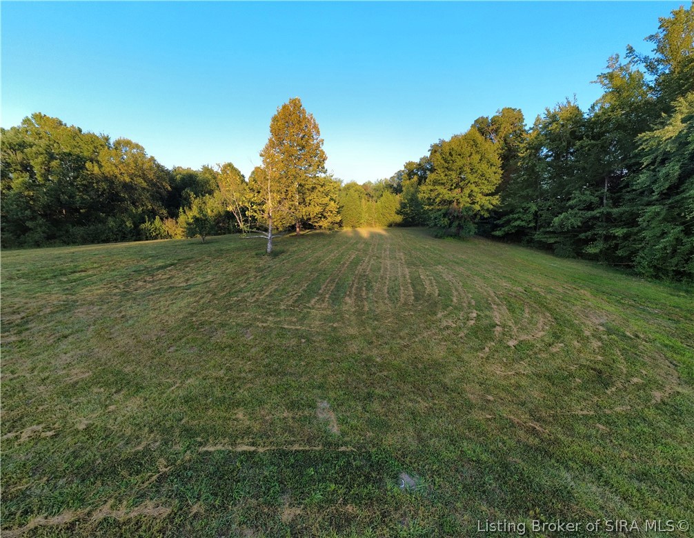 0 Wilson Switch Road Property Photo 2