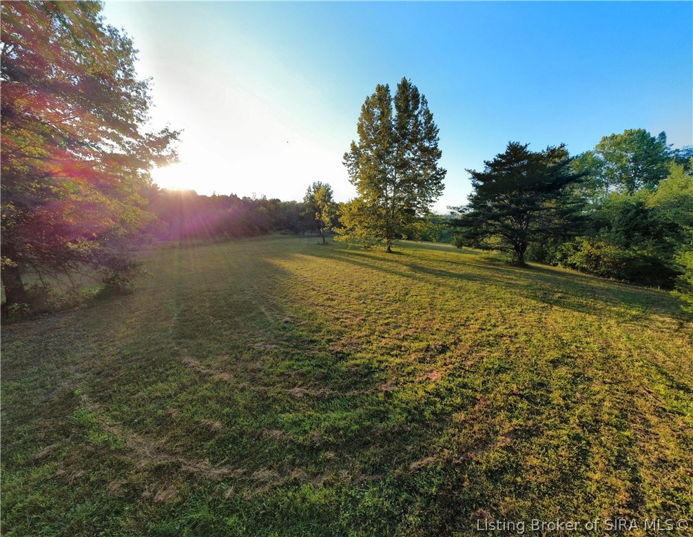 0 Wilson Switch Road Property Photo 3