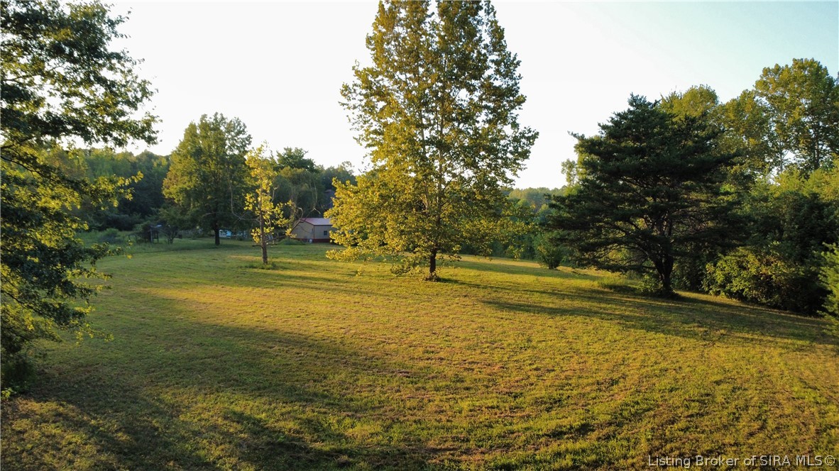 0 Wilson Switch Road Property Photo 4