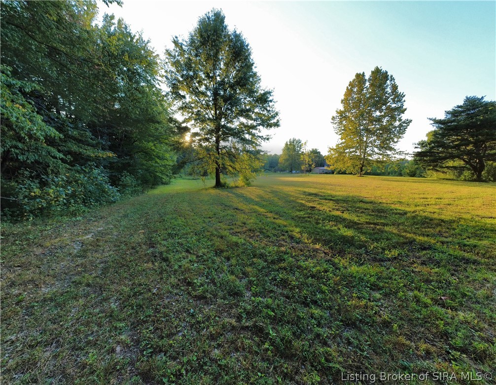0 Wilson Switch Road Property Photo 5