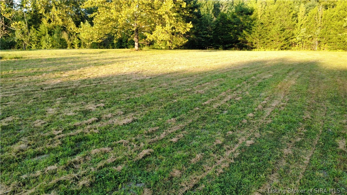 0 Wilson Switch Road Property Photo 6
