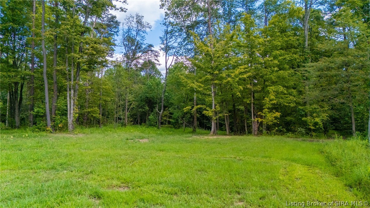 1376 N State Rd 3 (tract #2) Property Photo 1