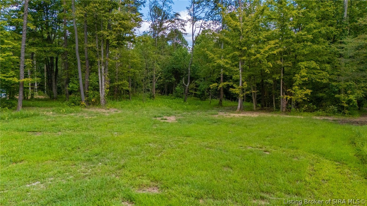 1376 N State Rd 3 (tract #2) Property Photo 2
