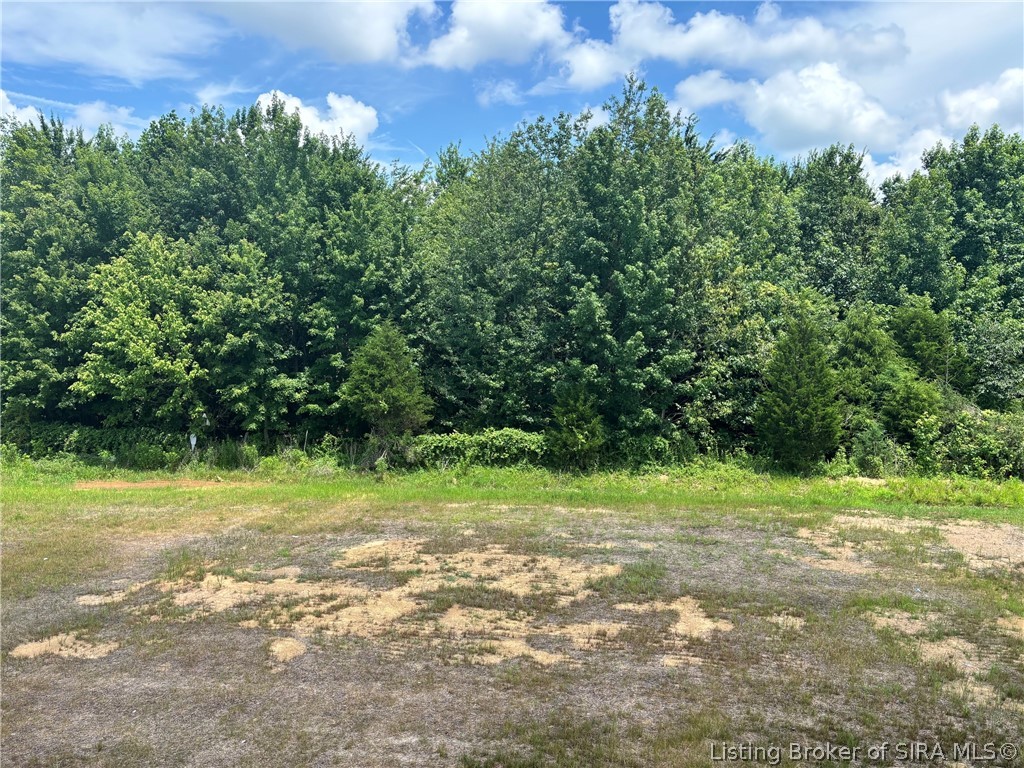 2619 Vineyard Way Lot 209 Property Photo 31
