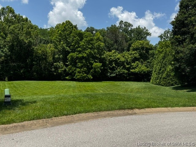 10055 Whispering Wind Drive Property Photo 1