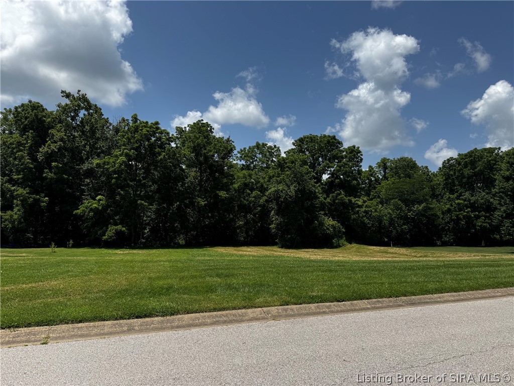 10024 West Wind Drive Property Photo 1
