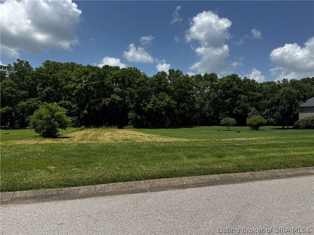10031 Whispering Wind Drive Property Photo 1