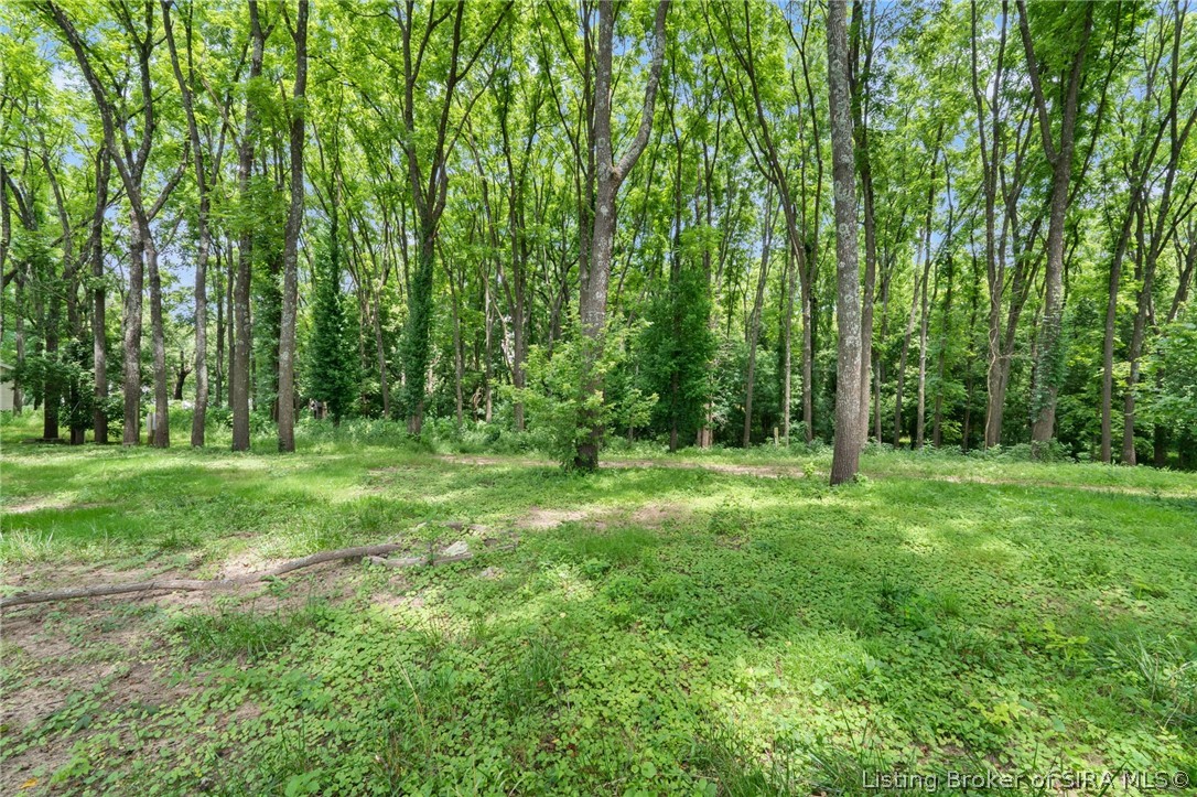 0 Maple St Property Photo 16