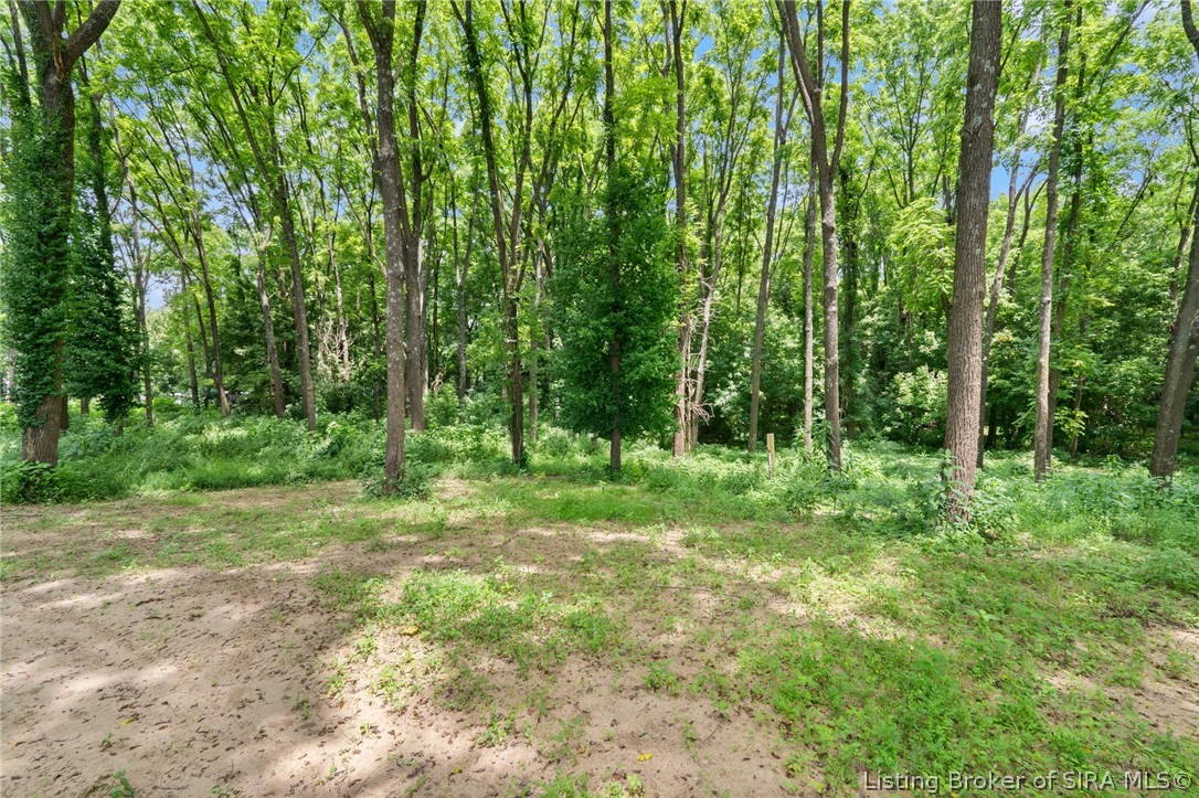 0 Maple St Property Photo 17