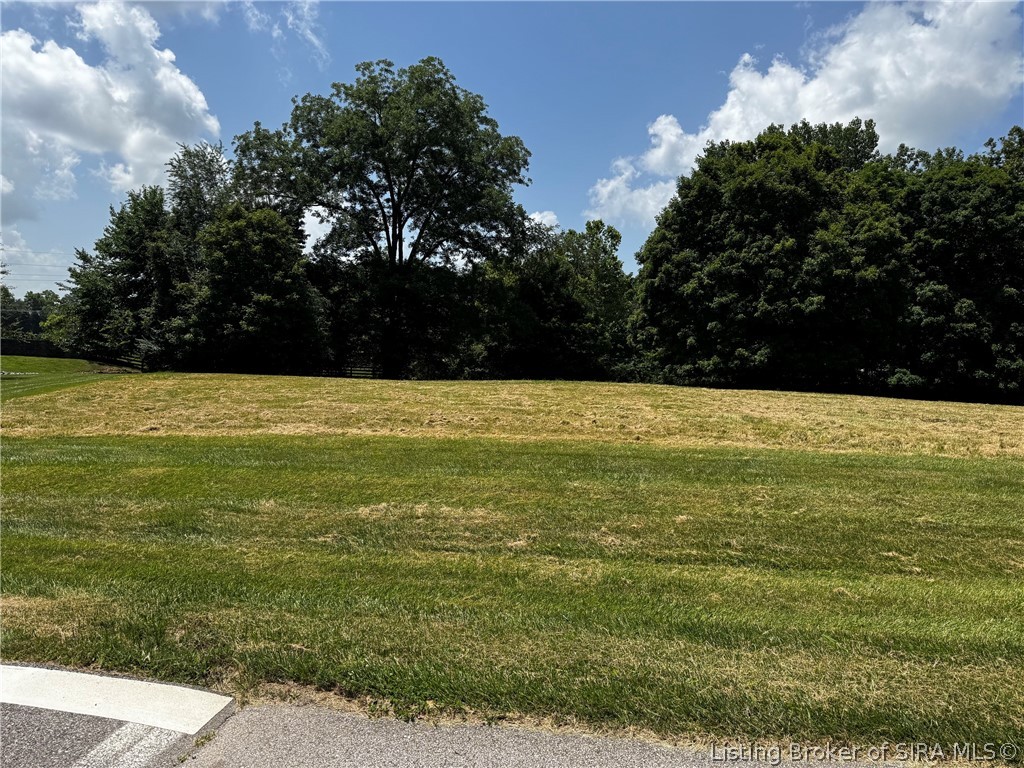 7301 Wind Dance Drive Property Photo 1