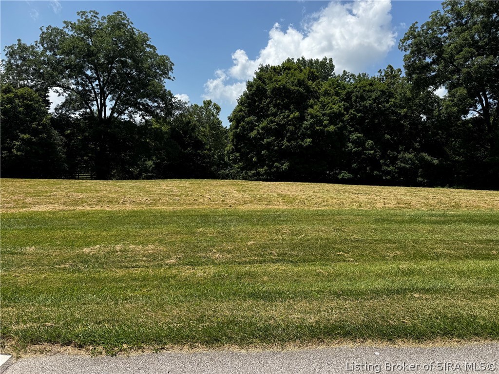 7301 Wind Dance Drive Property Photo 2