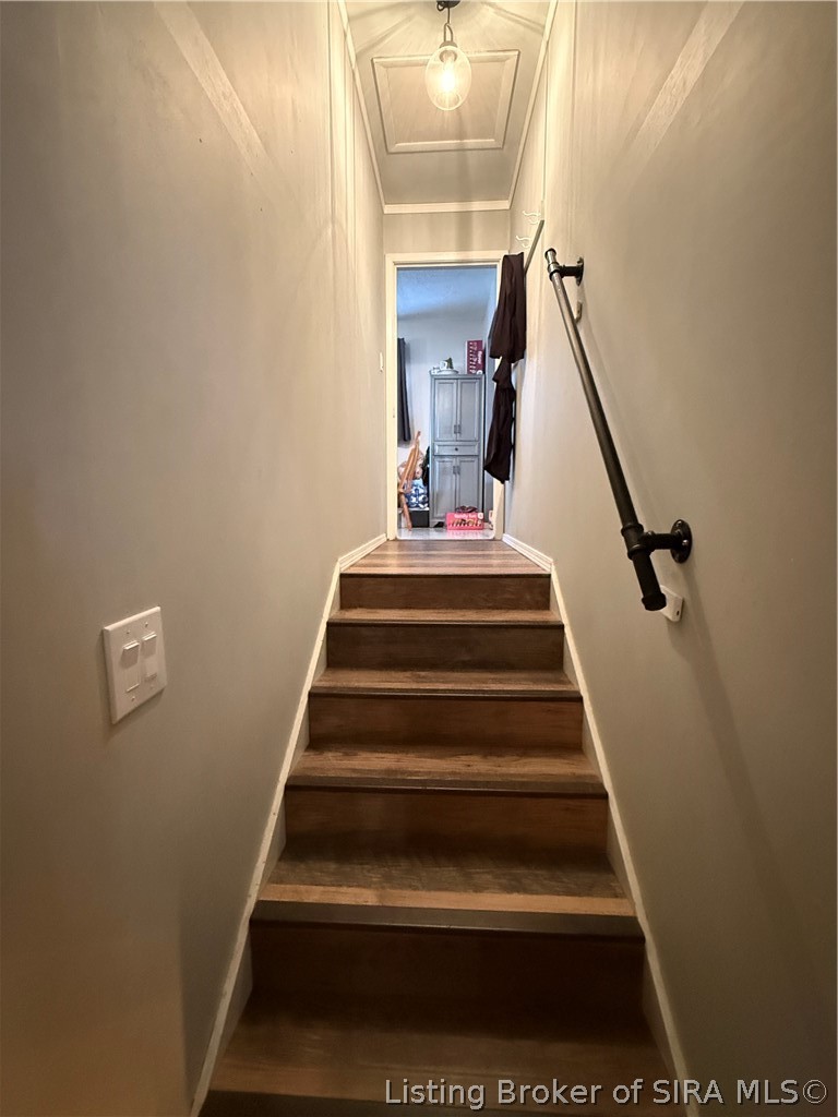 116 Bruce Street Property Photo 53