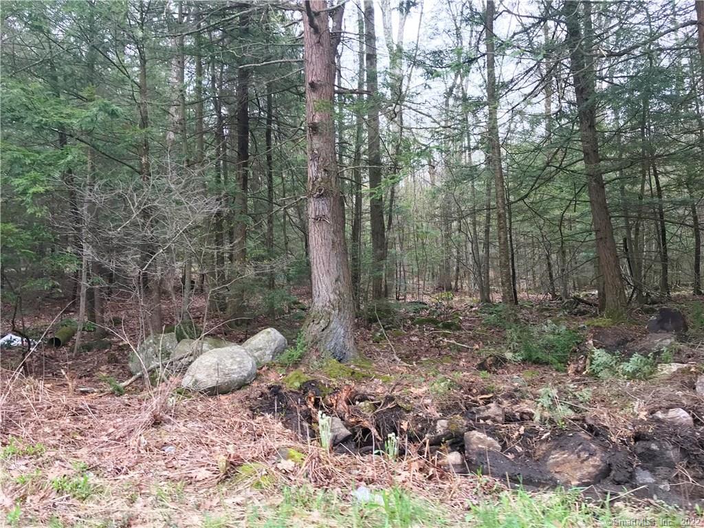 393 Winchester Road Property Photo 3