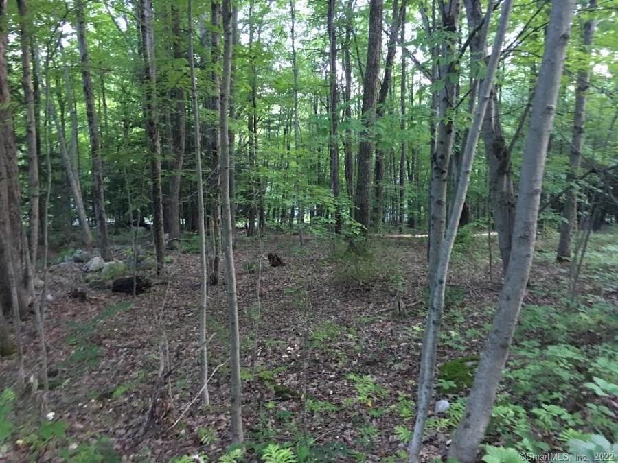 393 Winchester Road Property Photo 5