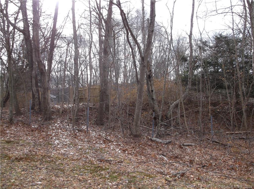 717 Norwich Westerly 717a Road Property Photo 2
