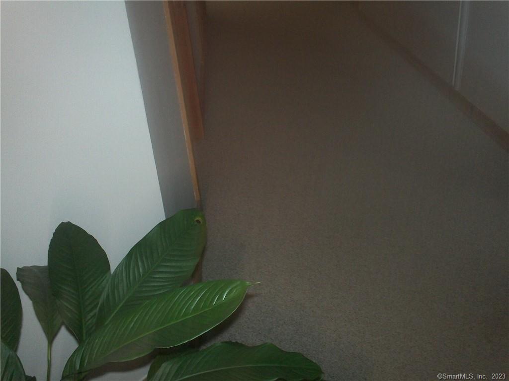 99 Citizens Drive Property Photo 16