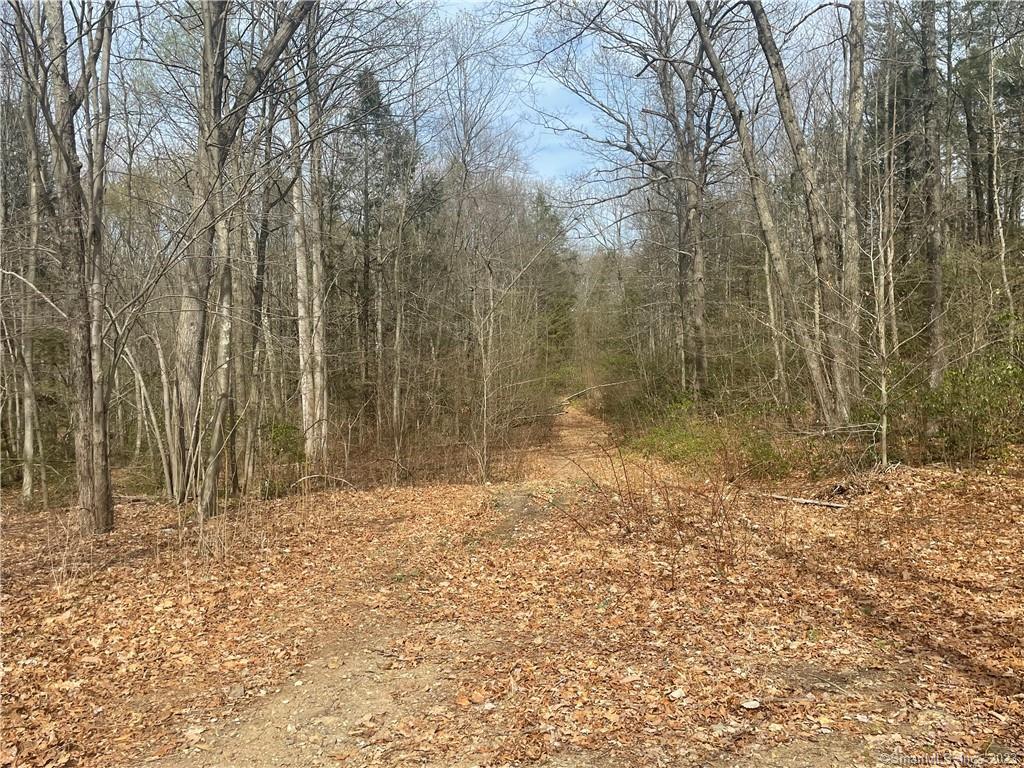 0 Old Mill Road Property Photo 1