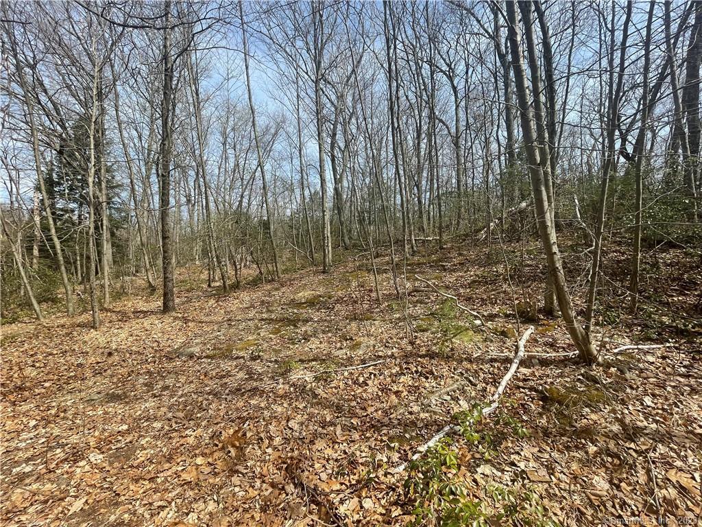 0 Old Mill Road Property Photo 2