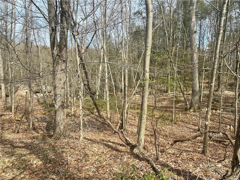 0 Old Mill Road Property Photo 7