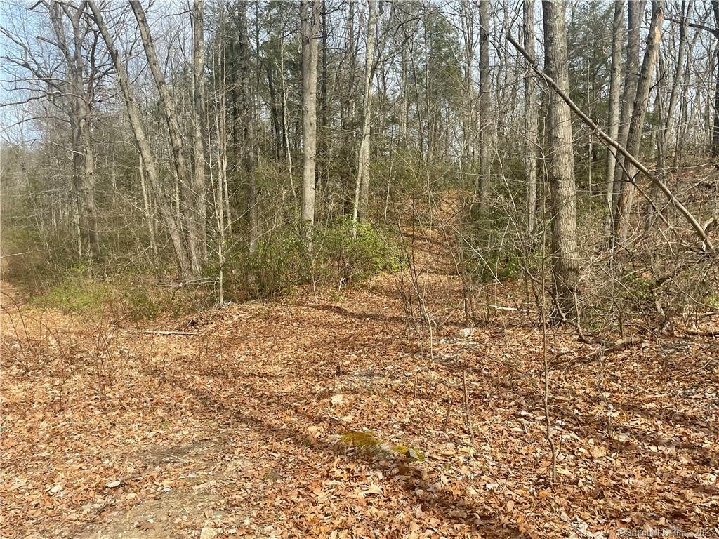 0 Old Mill Road Property Photo 12
