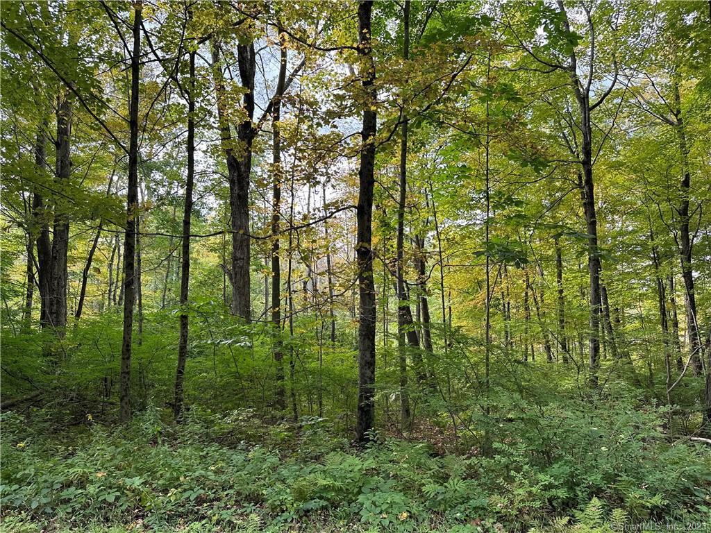 0 Lake Road Property Photo 1