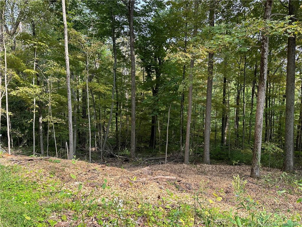 0 Lake Road Property Photo 2