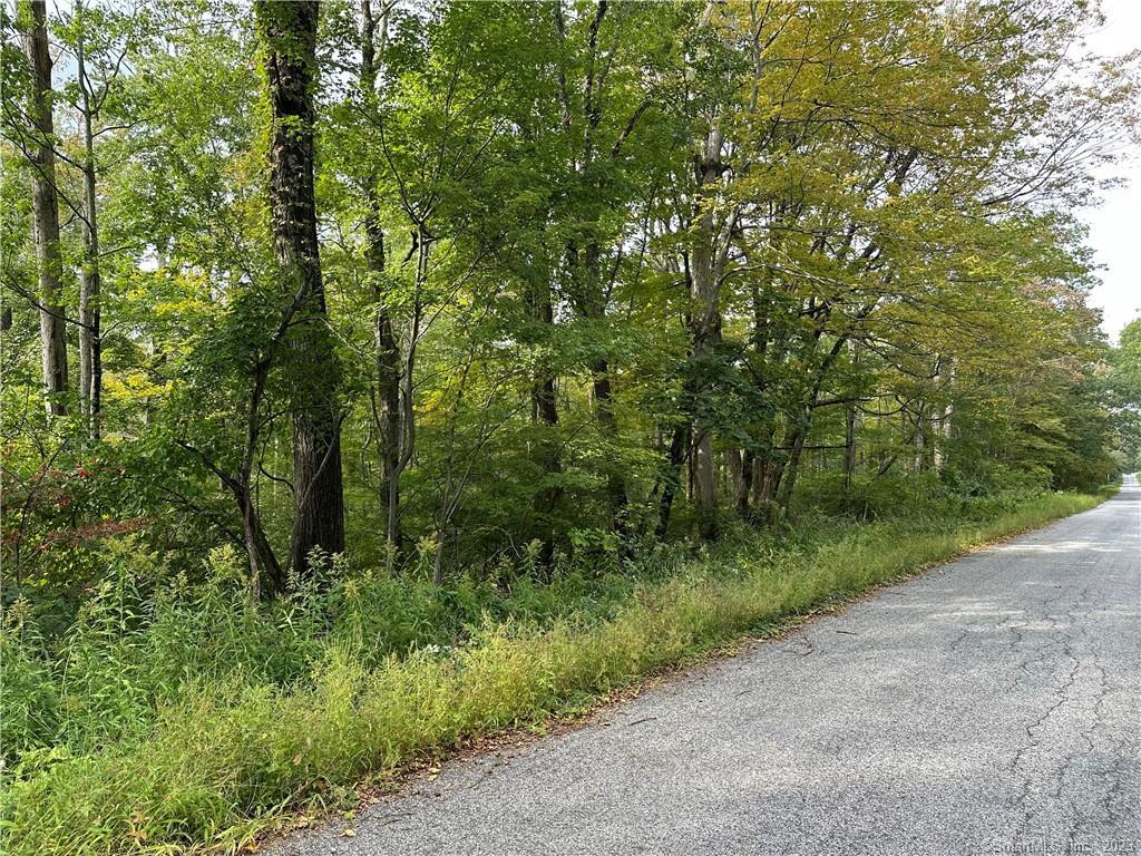 0 Lake Road Property Photo 3