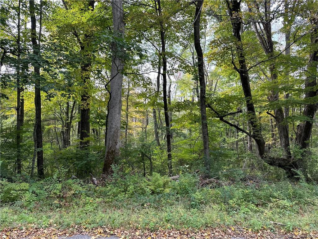 0 Lake Road Property Photo 4