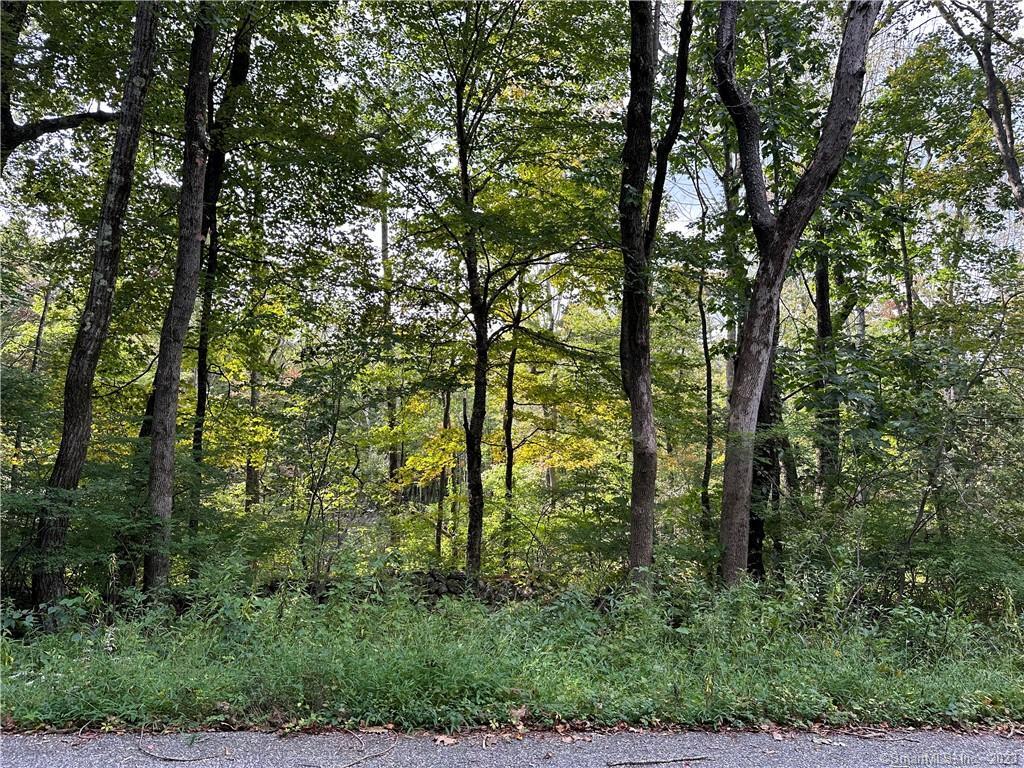 0 Lake Road Property Photo 5