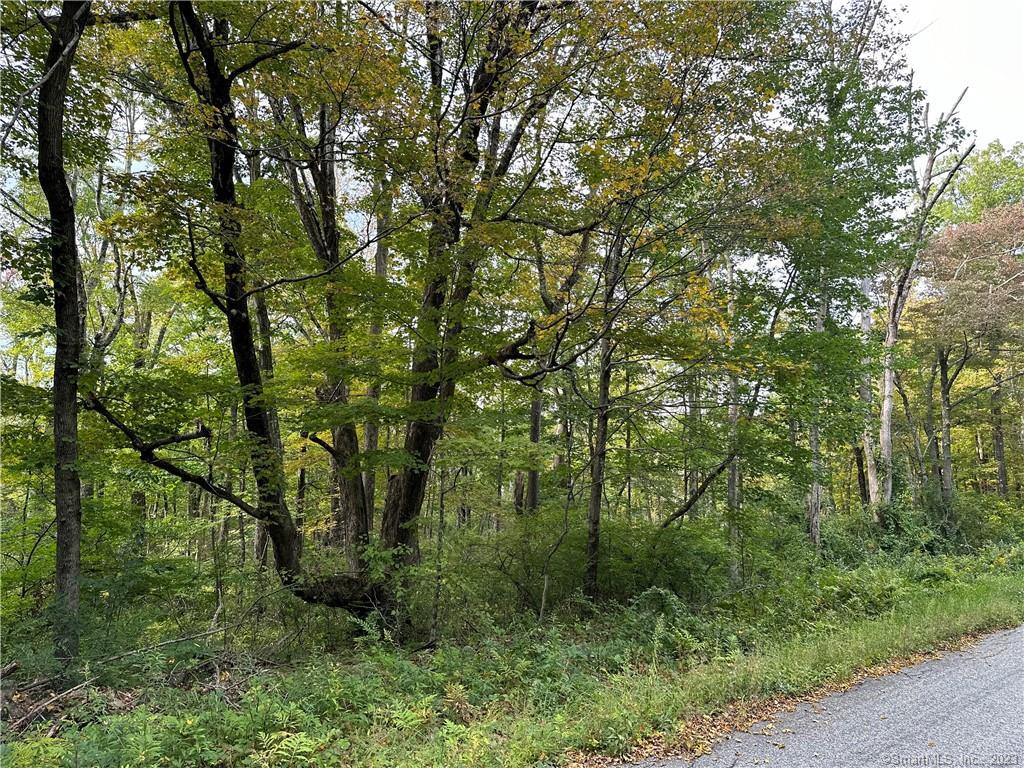 0 Lake Road Property Photo 6