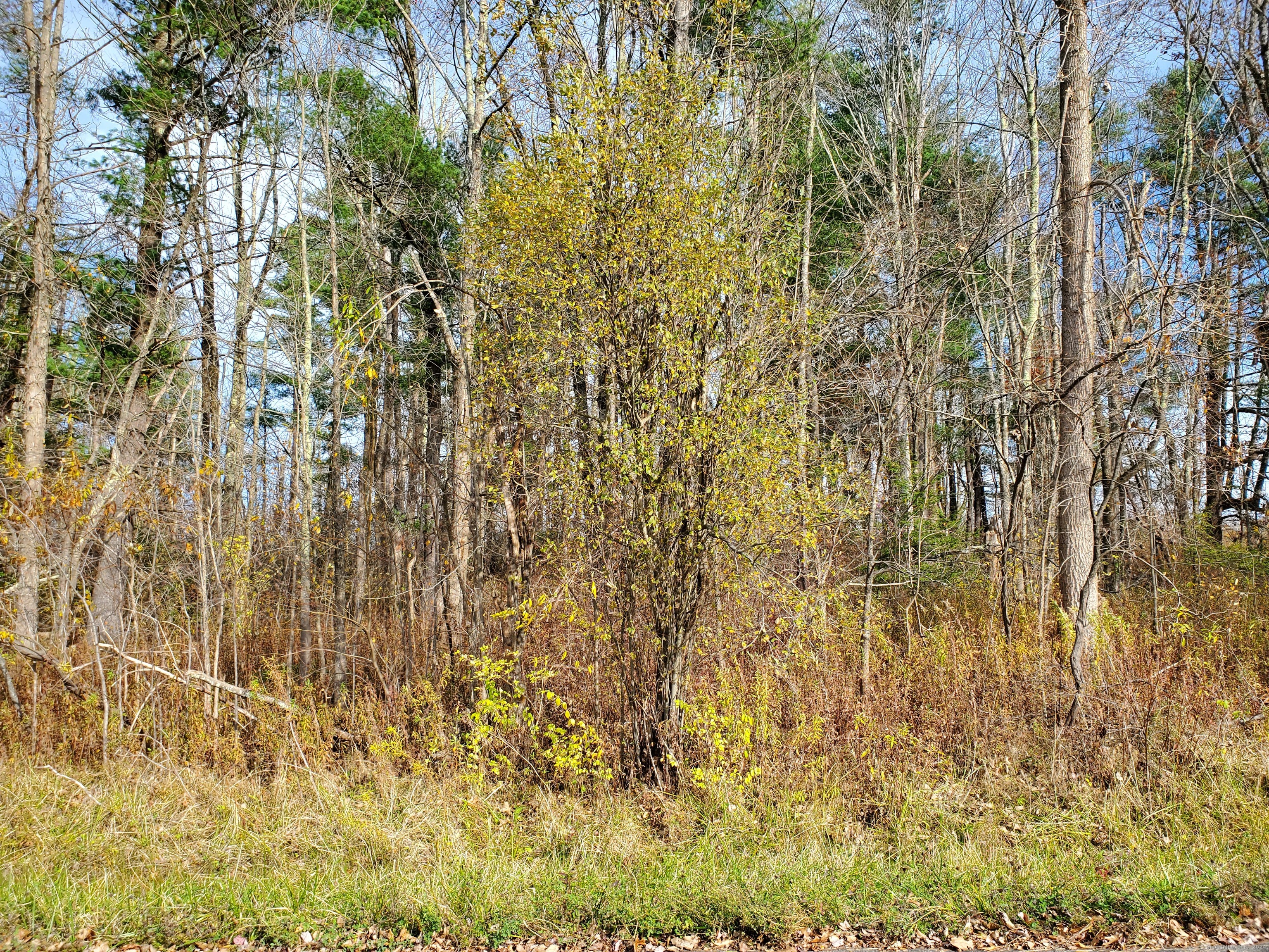 Brynmoor Wl Lot #556 Court Property Photo 3