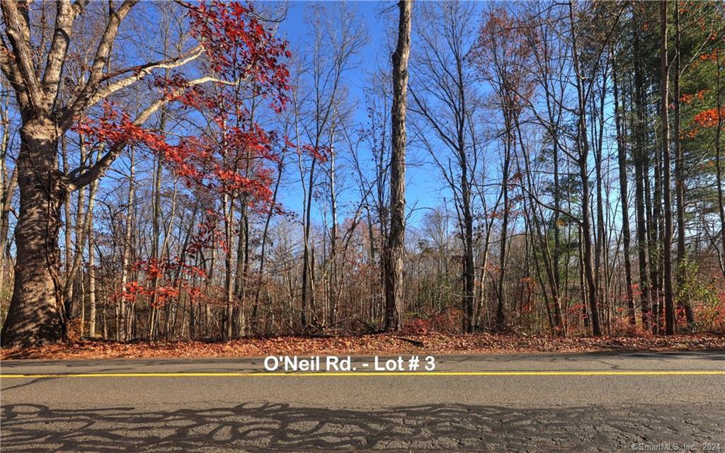 81 Oneil Road Property Photo 2