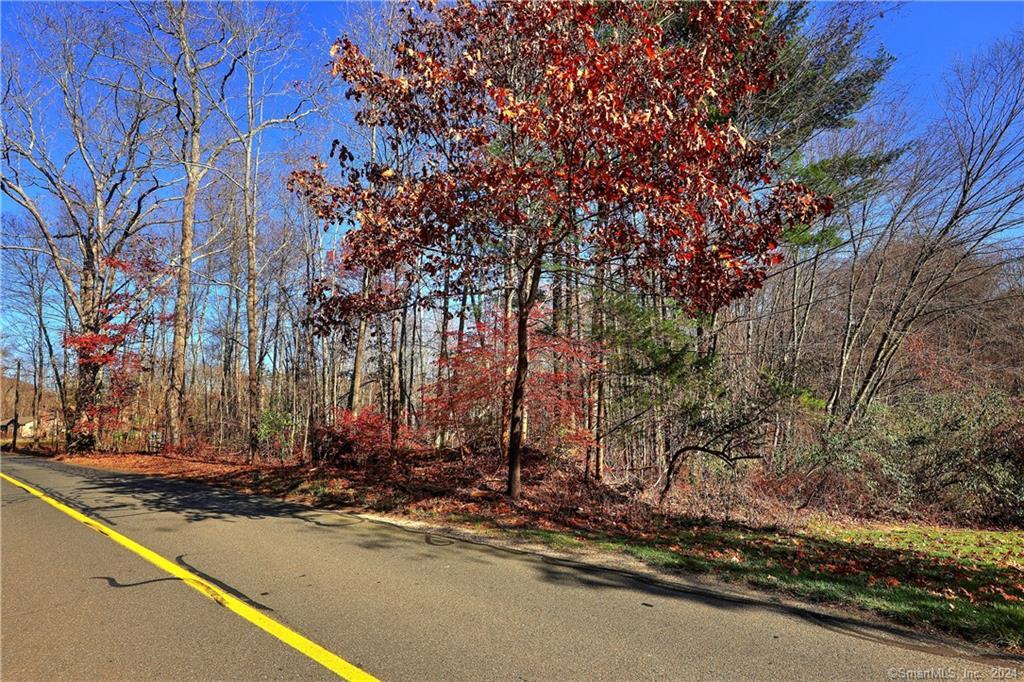 81 Oneil Road Property Photo 3