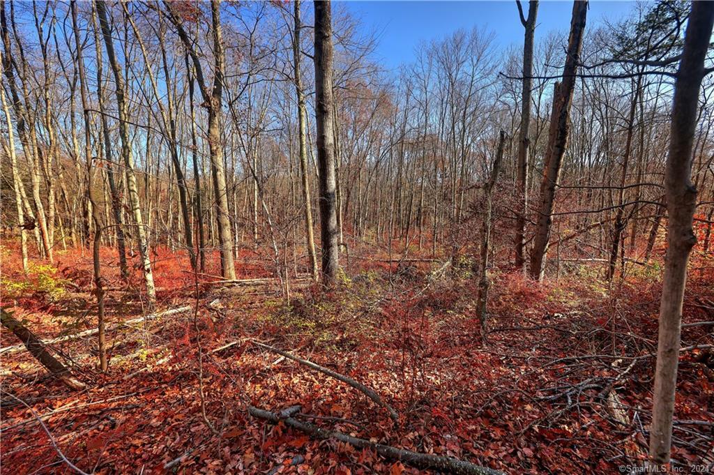81 Oneil Road Property Photo 5