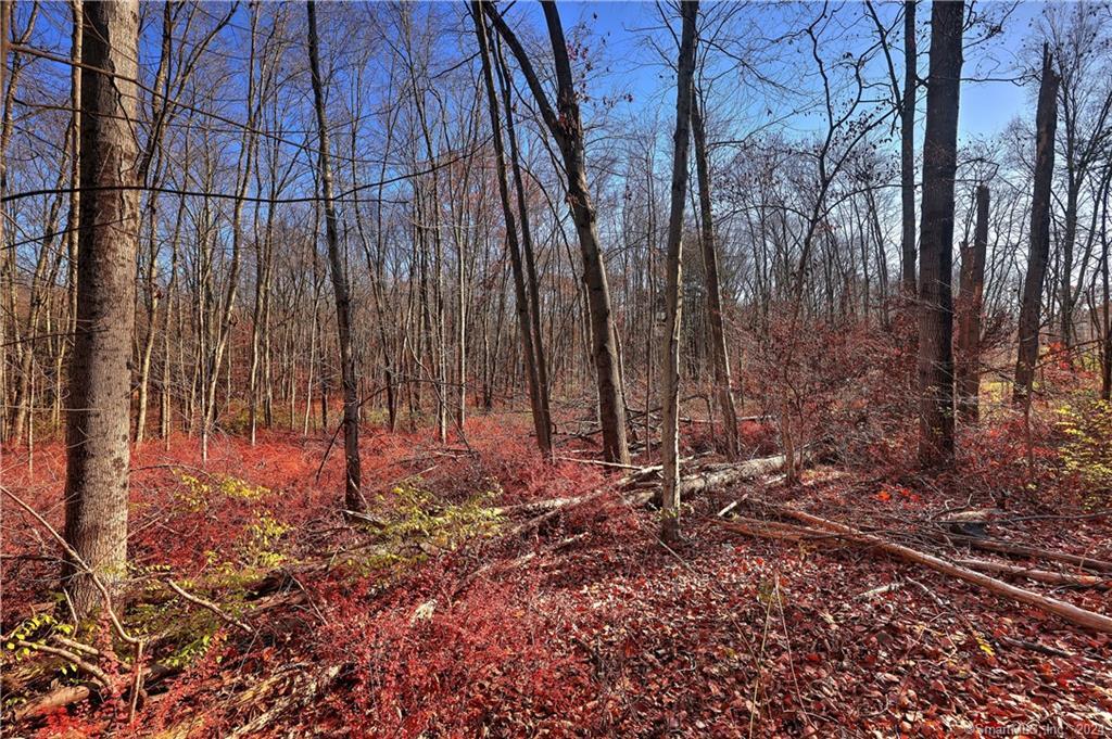 81 Oneil Road Property Photo 6
