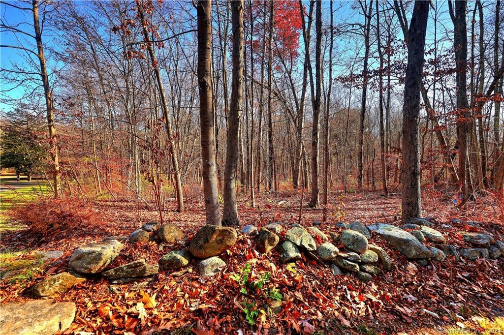 81 Oneil Road Property Photo 8