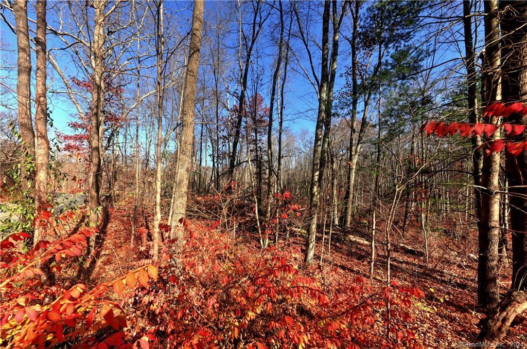 81 Oneil Road Property Photo 9