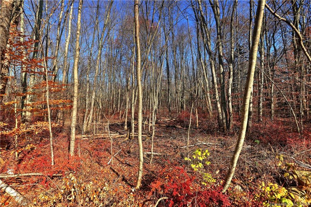 81 Oneil Road Property Photo 10