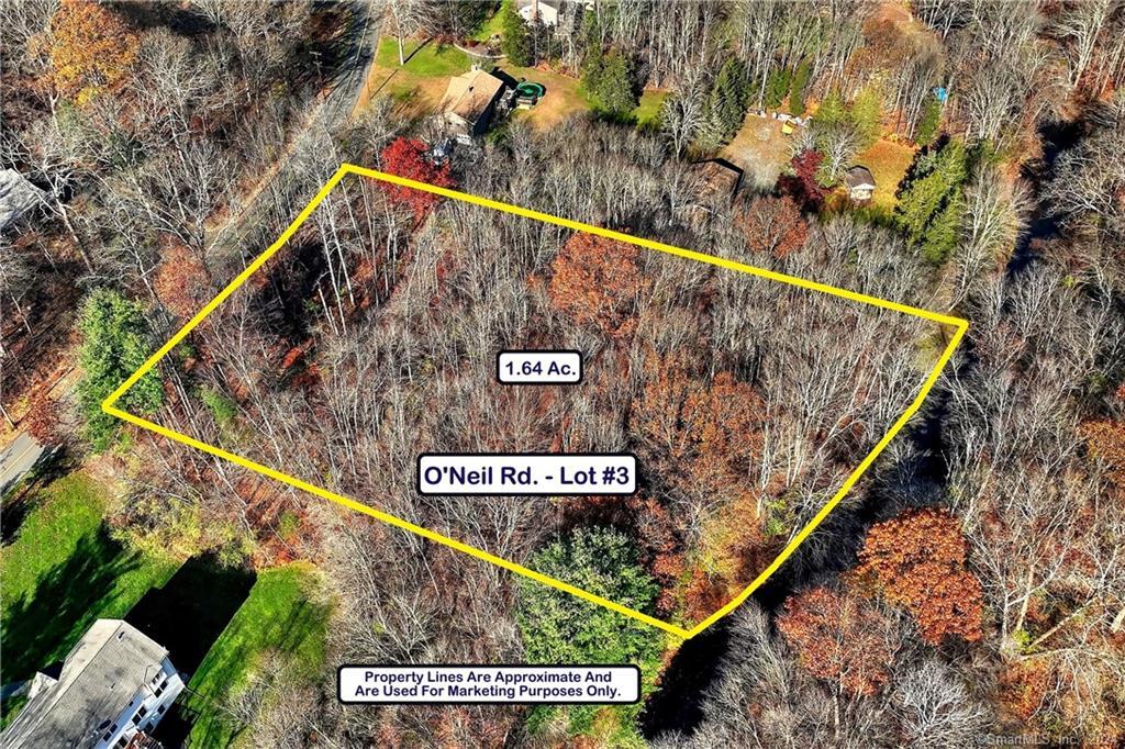 81 Oneil Road Property Photo 14