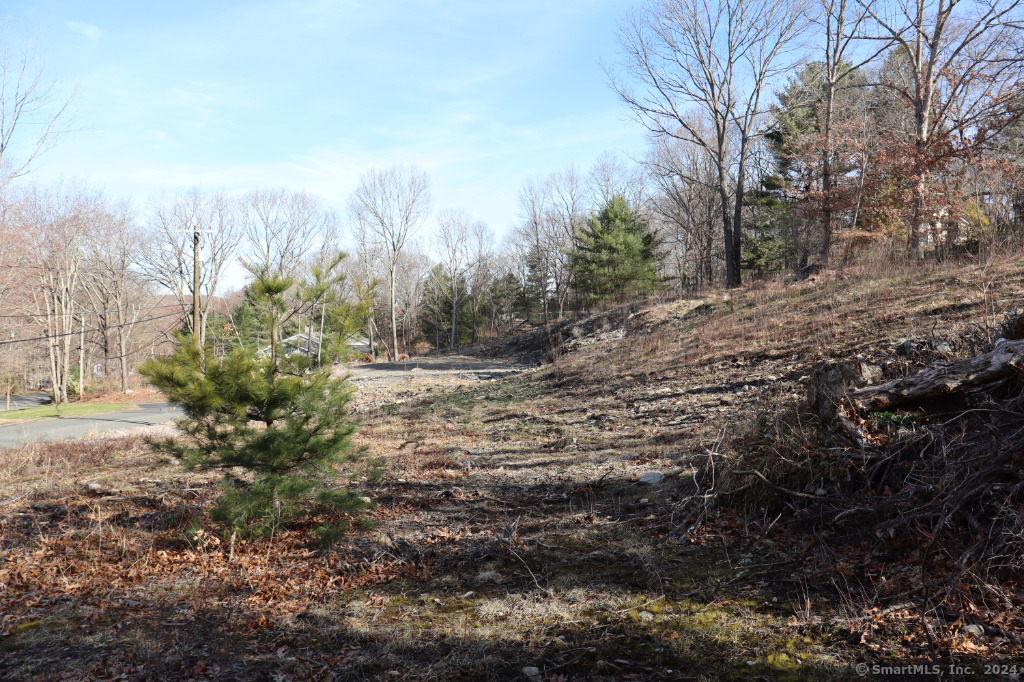 190 Blueberry Hill Road Property Photo 2