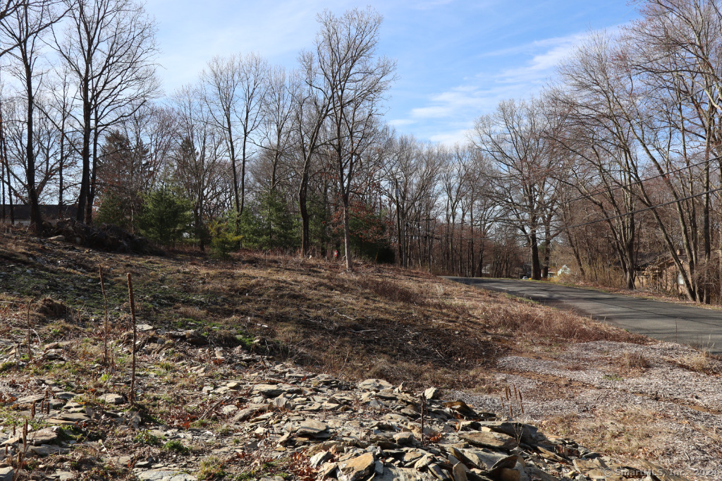 190 Blueberry Hill Road Property Photo 3