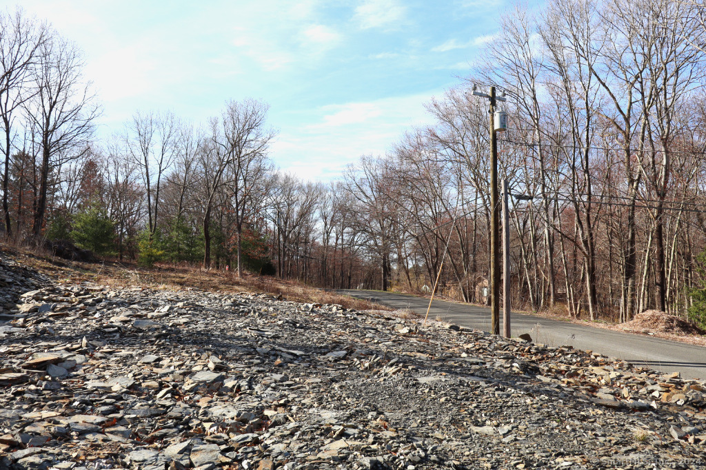 190 Blueberry Hill Road Property Photo 7