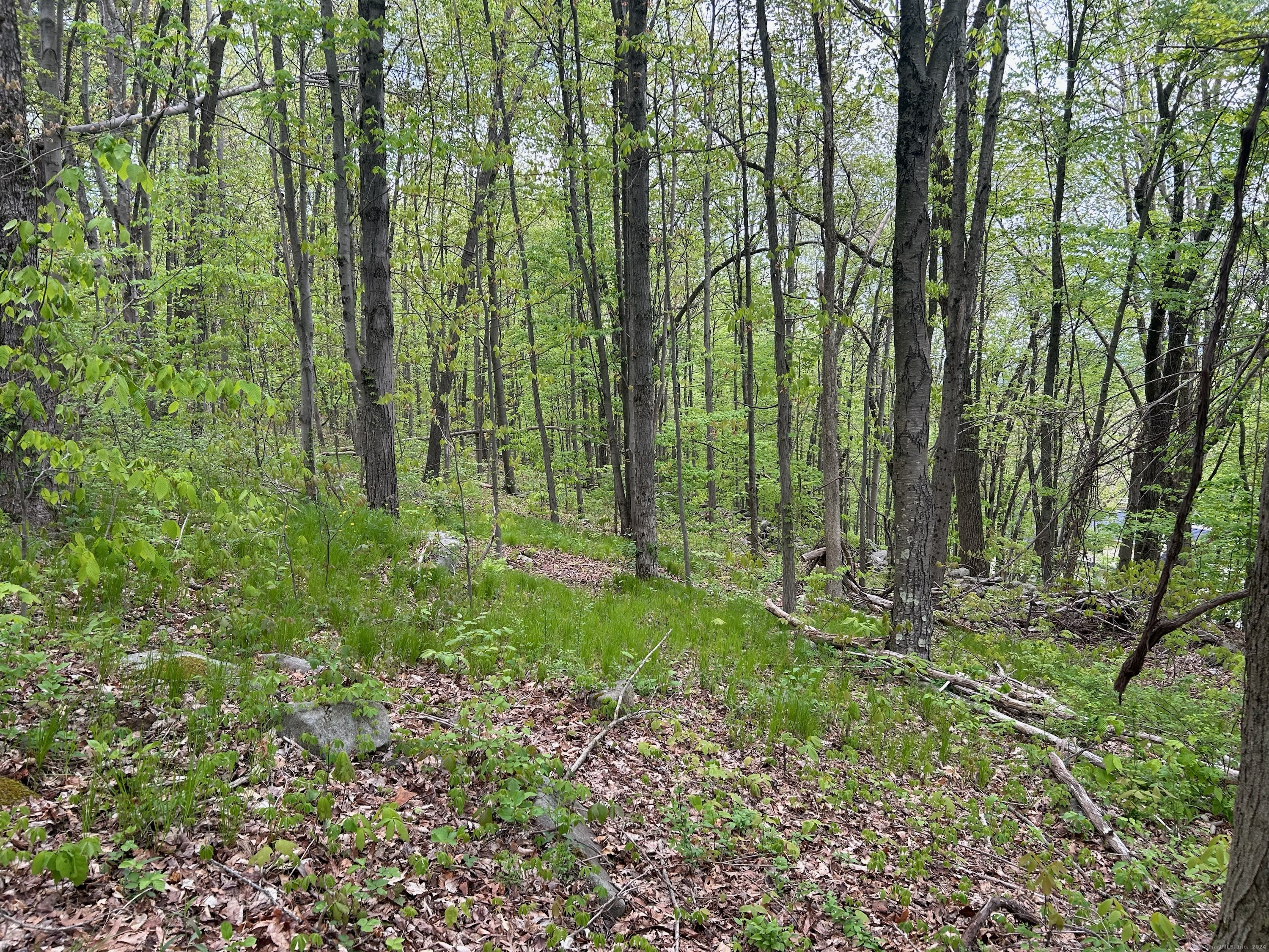 68 Westledge Terrace Property Photo 7