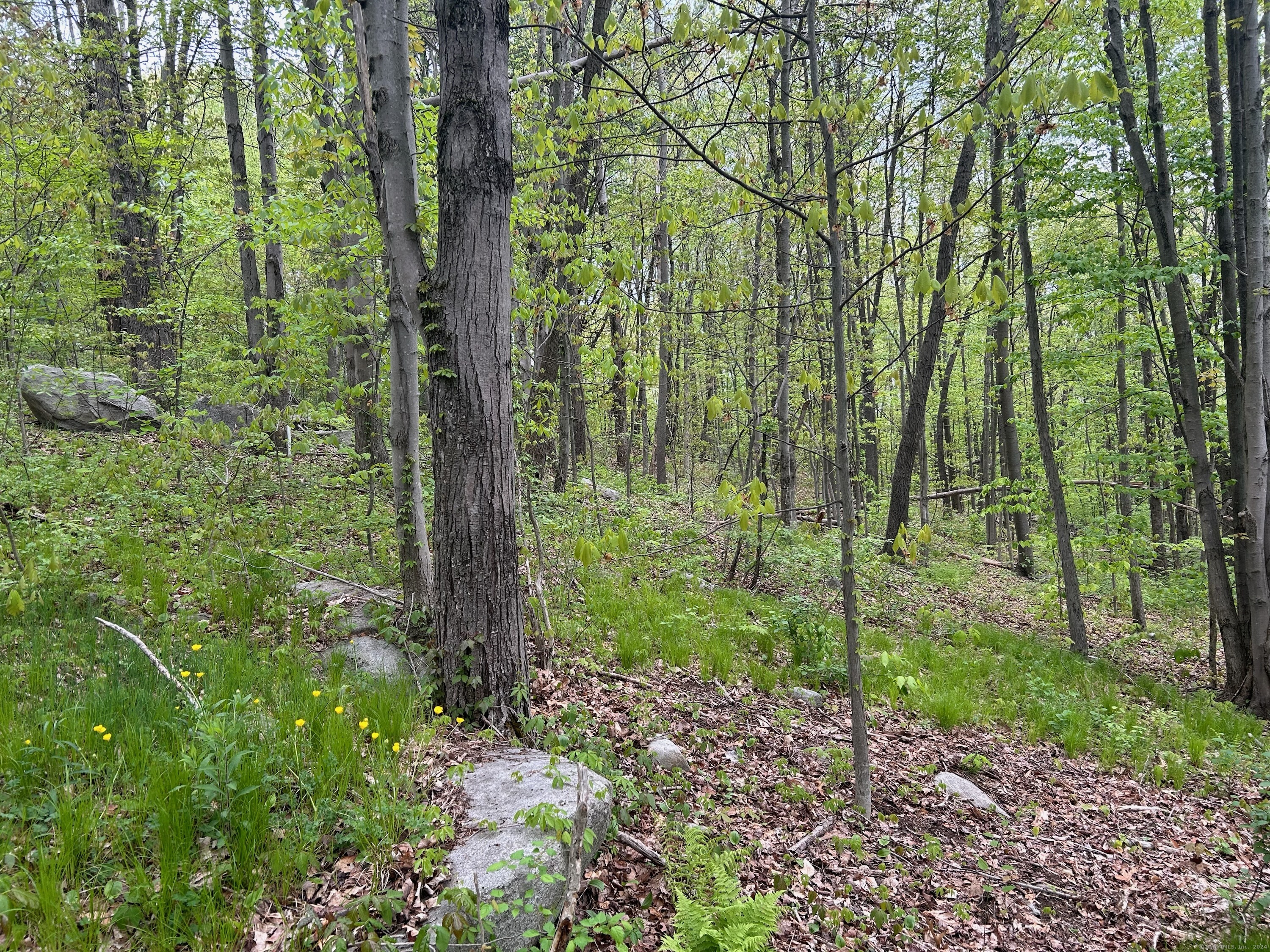 68 Westledge Terrace Property Photo 14