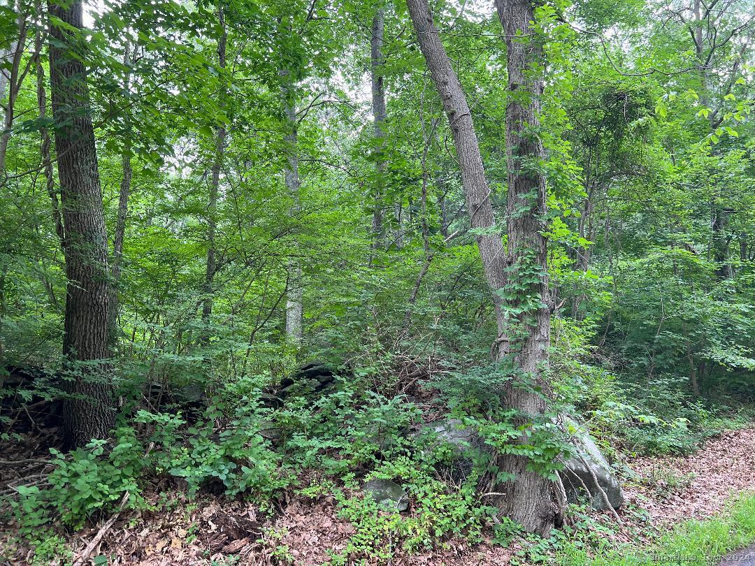 438 Cox # 2 Road Property Photo 2
