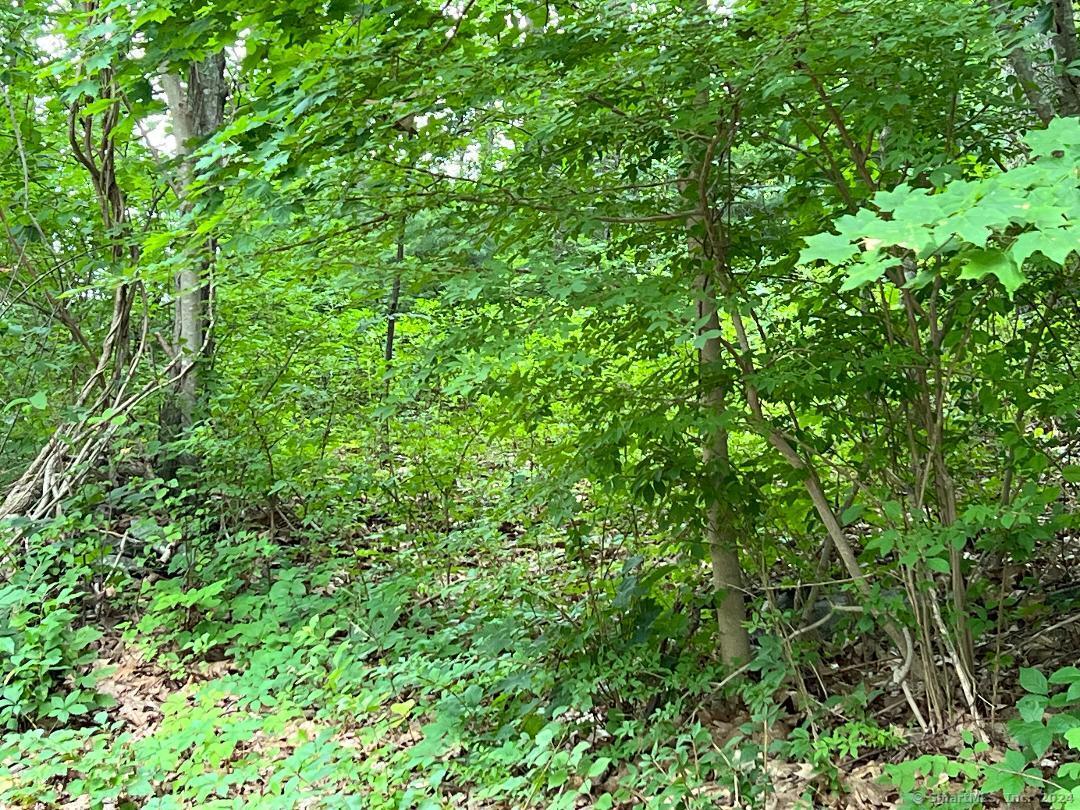 438 Cox # 2 Road Property Photo 6