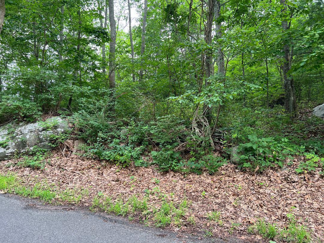 438 Cox # 2 Road Property Photo 7