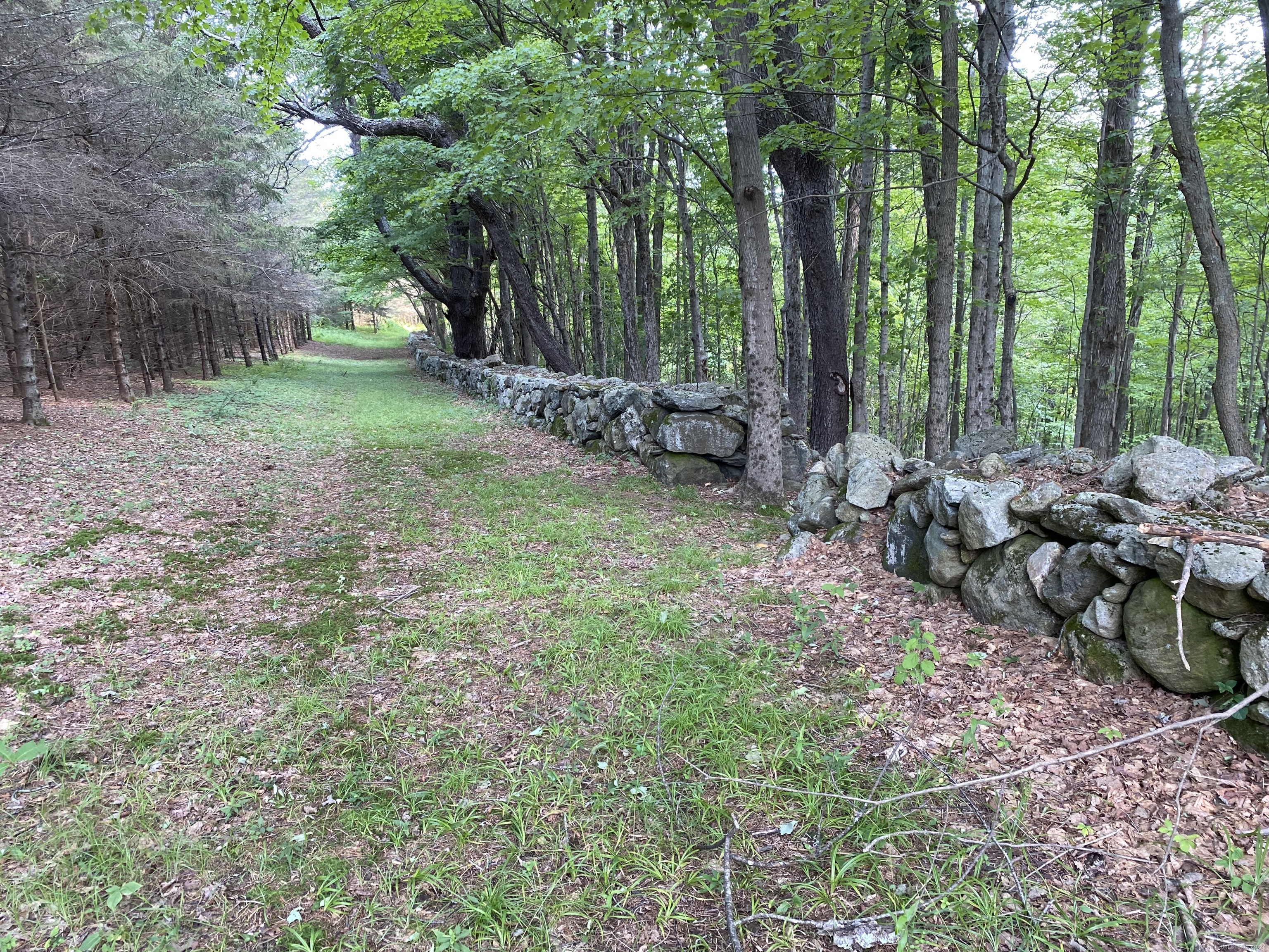 77 Deer Hill Road Property Photo 18